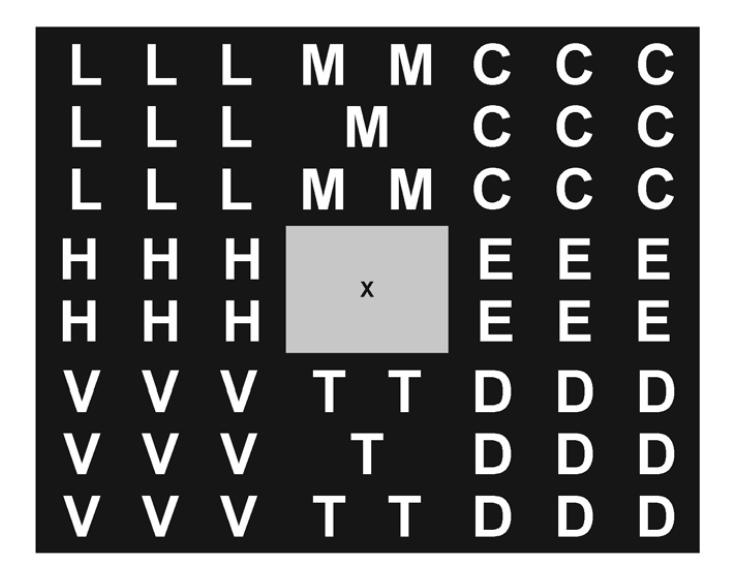Low Vision Field Detector 2 - Vision - Evaluation - Fu Kang Healthcare Online Shop Low Vision Field Detector 2 - Vision - Evaluation - Fu Kang Healthcare Online Shop